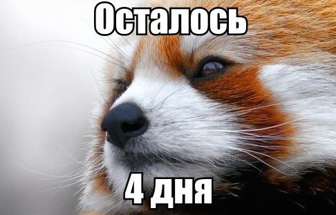    :D - 27  2014  22:08