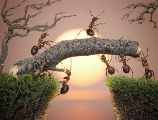 Упорство - это талисман жизни. © Французская пословица - 6
