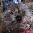 � ��� ���� =DD �� ������� ����������� �����,���� � �����