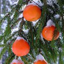 ���� �����, �����, 58 ��� - ��������� 17 ������ 2014 � ������ ������ ��� !�