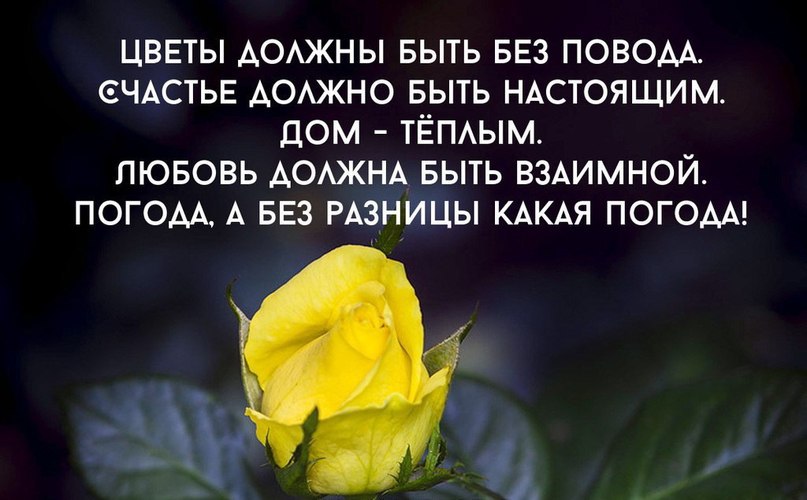   - 1  2014  15:42