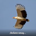���� ���������, �����, 72 ���� - ��������� 26 ������� 2014 � ������ ������ ��������