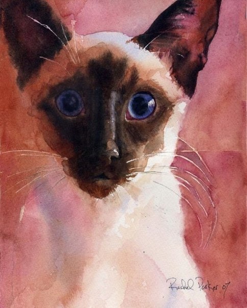     (Rachel Parker)