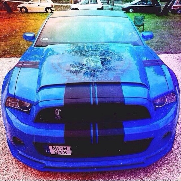 Shelby GT500. - 3