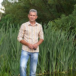 �������, 56 ���, ��������