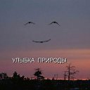  , , 42  -  12  2014   V