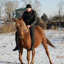 ���� �����, ������������, 39 ��� - ��������� 8 ������ 2014