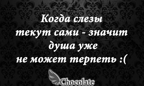 �hocolate - 6 ������� 2014 � 17:46