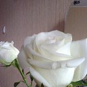 ���� ������, ������� - ��������� 29 ������� 2014 � ������ ���� ����������