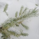  ,  -  21  2014    2014