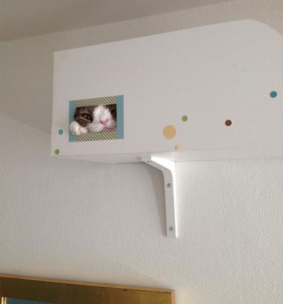 ,    ."    .      ... - 6