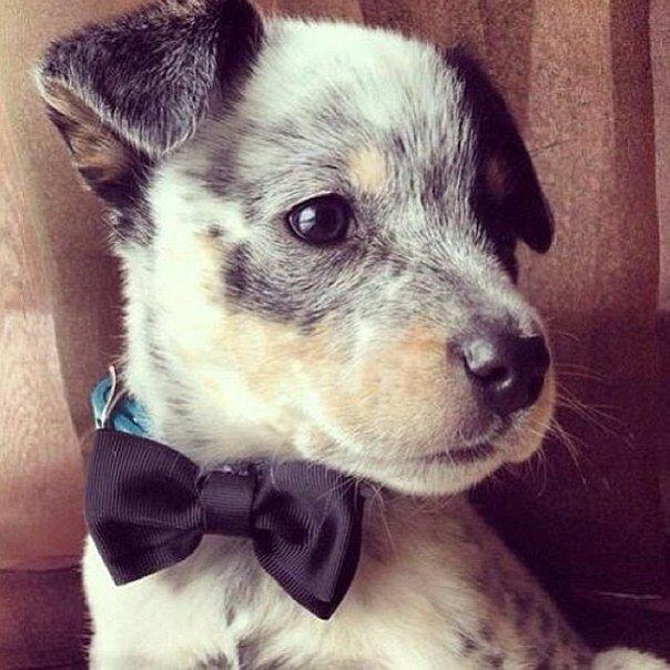    - 7  2014  15:11 - 5