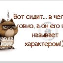���� @˸��@, ������ �������� - ��������� 20 �������� 2014 � ������ ������ ��������