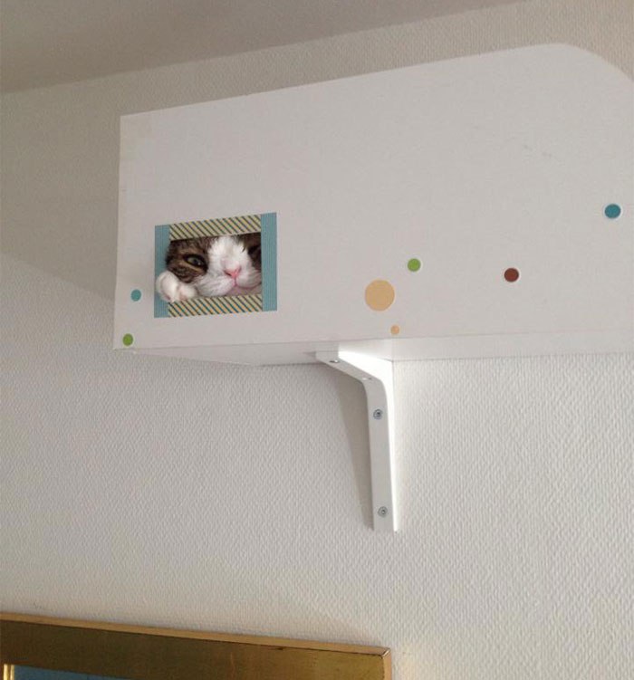 ,    ."    .      ... - 6