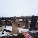 ���� ������, ��������, 69 ��� - ��������� 22 ������� 2014 � ������ ��� �������