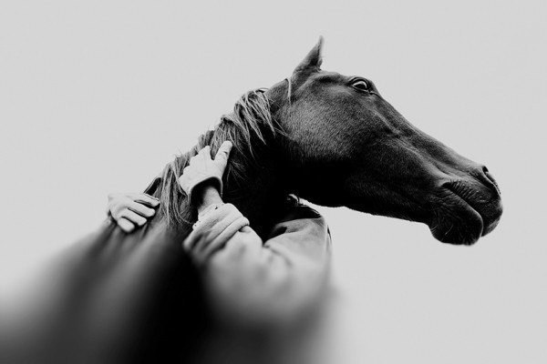 Подписывайтесь на нас:;-).http://fotostrana.ru/public/233467 Фрагмент из фотосессии Cowboys, ... - 6