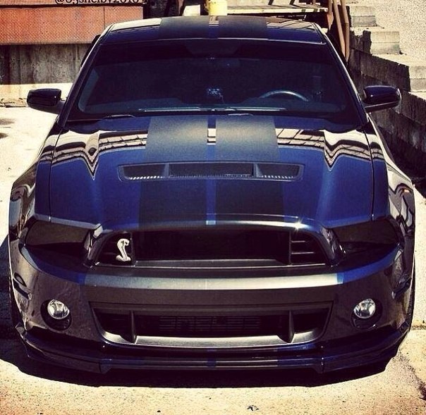 Shelby GT500. - 5