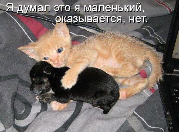 Подпишитесь, если понравилось!!! fotostrana.ru/public/237440/?