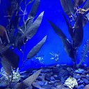 ���� Tania, �������, 55 ��� - ��������� 23 ������� 2014 � ������ ���� ����������