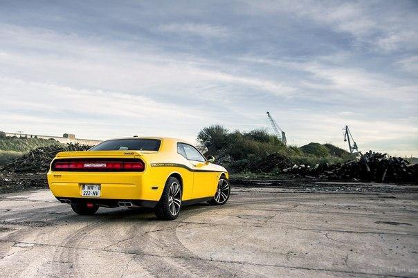 Dodge Challenger SRT8 Yellow Jacket | Nicolas Serre - 5