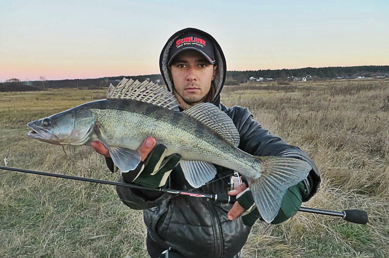 ����� ������� - 25 ������ 2014 � 22:40 - 2