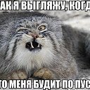 ���� ������, ��������, 60 ��� - ��������� 1 ������� 2014 � ������ ������ ��������