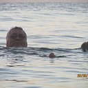 ����� ������ 2014 �� ������� ���� ����������