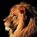 ���� Yura, ���������, 53 ���� - ��������� 17 ������ 2014