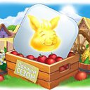 ���� �����, �����������, 62 ���� - ��������� 7 �������� 2014 � ������ ������ ��������