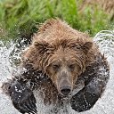 ���� Hunter, ������ - ��������� 9 ������� 2014 � ������ ������ ��������