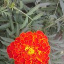 ���� �����, �������, 64 ���� - ��������� 31 ������� 2014 � ������ ���� ����������