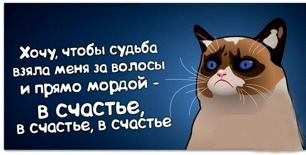  ( ) - 15  2014  08:03