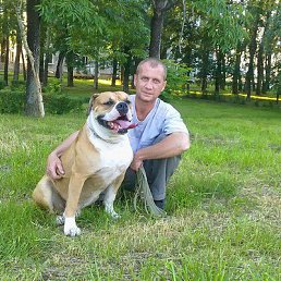 ��������, ������, 54 ����