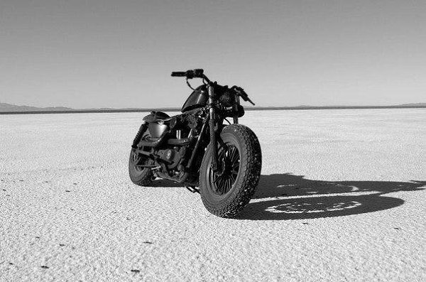 Harley-Davidson Sportster 883 Becomes Iron Guerrilla - 6