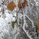  .,  -  10  2014    