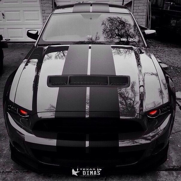 Shelby GT500. - 4