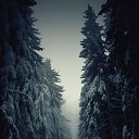 ���� Sergey Lebedenko, ������ - ��������� 19 ������� 2014 � ������ ������ ��������