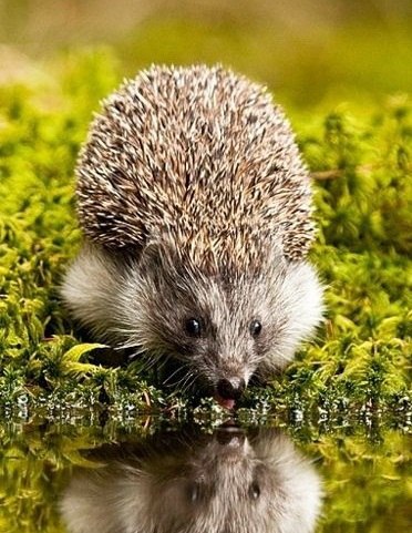   - 16  2014  14:47 - 6