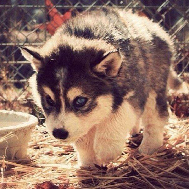    - 7  2014  15:11 - 3