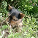 ���� Nicol, ������ - ��������� 26 ������� 2014 � ������ ���� ����������