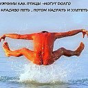  , -, 62  -  19  2014   