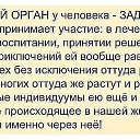 ���� N..., ����, 47 ��� - ��������� 17 ������ 2014 � ������ �������FF�