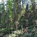 ���� ������, ����, 58 ��� - ��������� 15 ������� 2014 � ������ ��.������