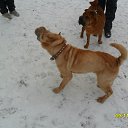 ���� !!!������!!!, �����������, 52 ���� - ��������� 10 ������ 2014 � ������ ����-��� ���)))�