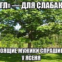 ���� �������, ������, 41 ��� - ��������� 3 �������� 2014 � ������ ������ ��������