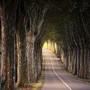 ���� Gela, ������� - ��������� 10 ������� 2014 � ������ ������ ��������