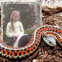 ���� �������, �����-���������, 54 ���� - ��������� 26 ������� 2014 � ������ ����� ����