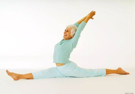   ,   50.           ...