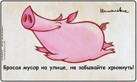  -   - 8  2014  17:03
