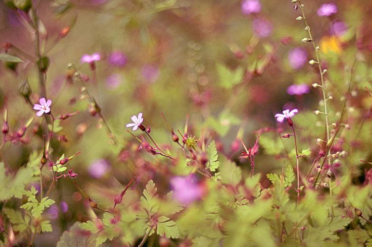   ,       .  ,    . - 5